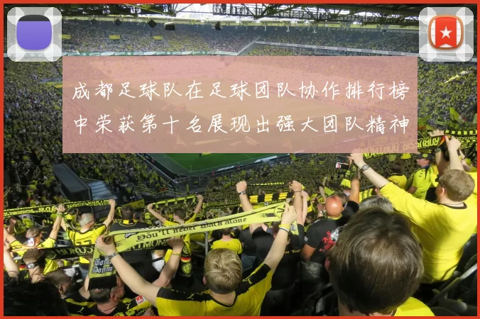 成都足球队在足球团队协作排行榜中荣获第十名展现出强大团队精神与合作能力