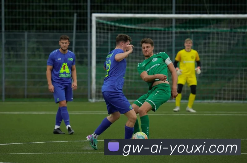 多媒体互动体验